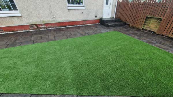 Low Maintenance Lawn