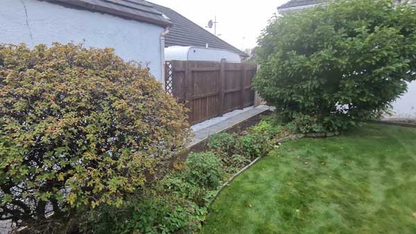 Modern Garden Planting