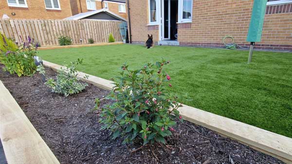 Feature Plants and Trees