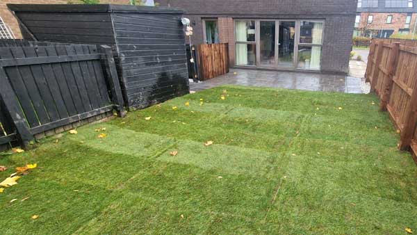 Rolled Turf Installation